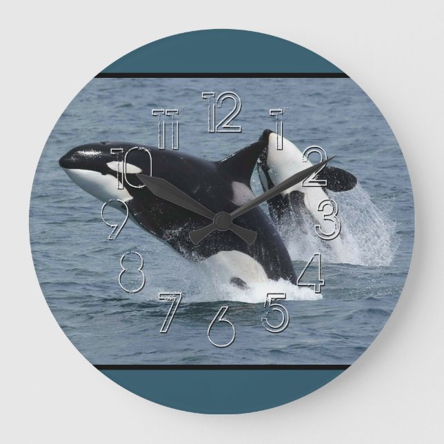 Orca Killer Whales Stor Klocka (Framsida)