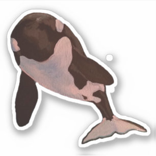 Orca Klistermärken