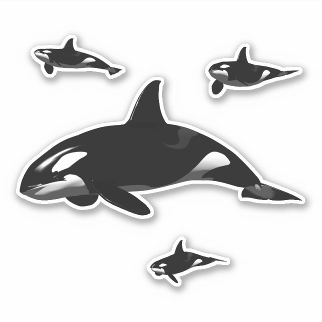 Orca Klistermärken (Framsida)