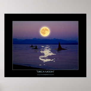 ORCA MÅNE Fantasy Art Poster