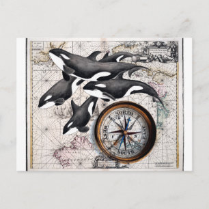 Orca Nautical Compass Vykort