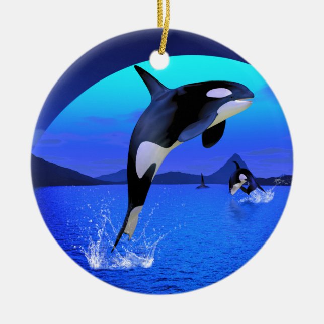 Orca Ornament (Framsidan)