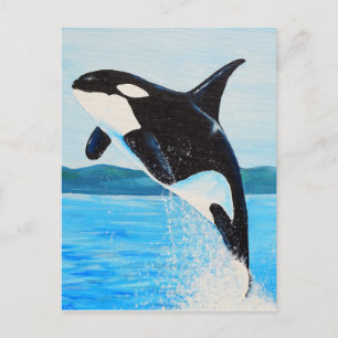 Orca Painting Vykort