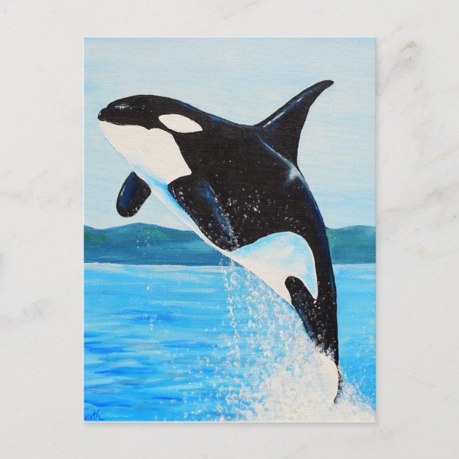 Orca Painting Vykort (Framsida)