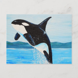 Orca Painting Vykort