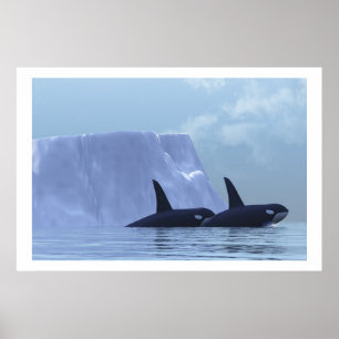 ORCA PRINT POSTER