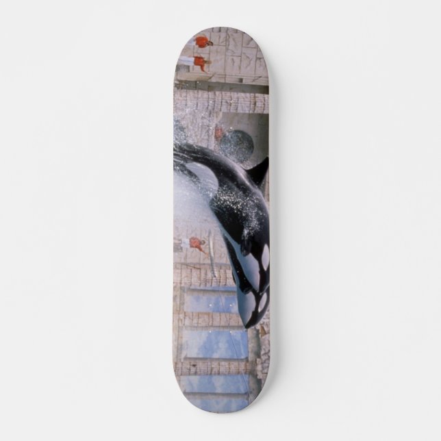 Orca Skateboard Bräda 20 Cm (Framsida)