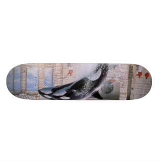 Orca Skateboard Bräda 20 Cm