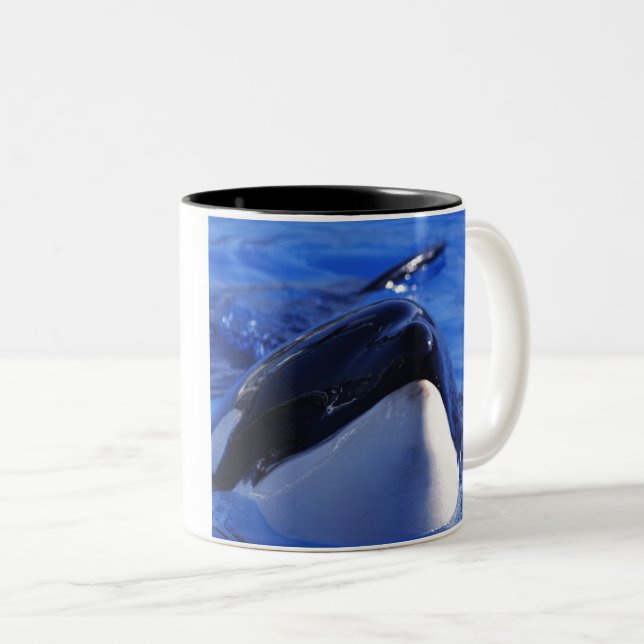 orca. Späckhuggare Två-Tonad Mugg (Framsida höger)