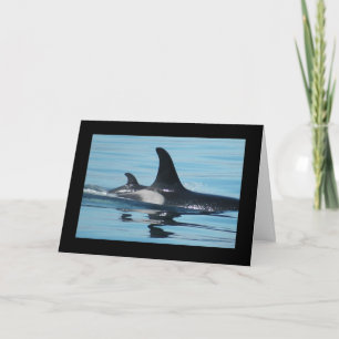 Orca-/späckhuggaremors dagkort kort