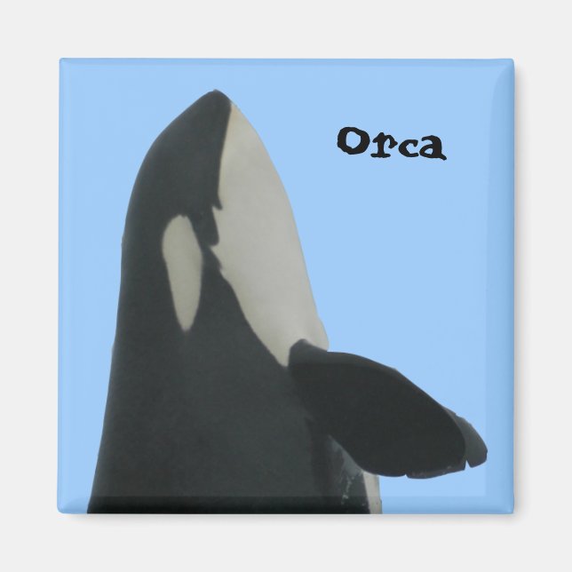 Orca Spyhop Magnet (Framsidan)