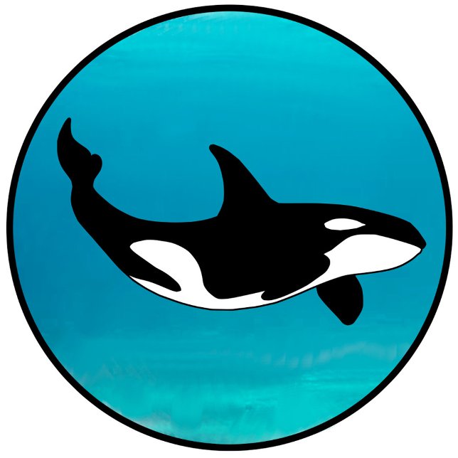 Orca T Shirt (Skapare uppladdad)