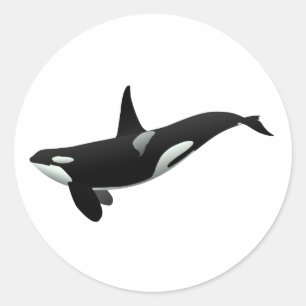 Orca val illustration - Välj bakgrund färg Runt Klistermärke