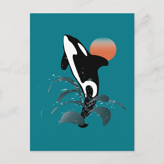 Orca Vykort (Framsida)