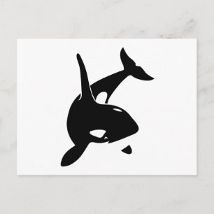 orca wal delphin delphin schwertwal vala vykort