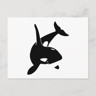 orca wal delphin delphin schwertwal vala vykort