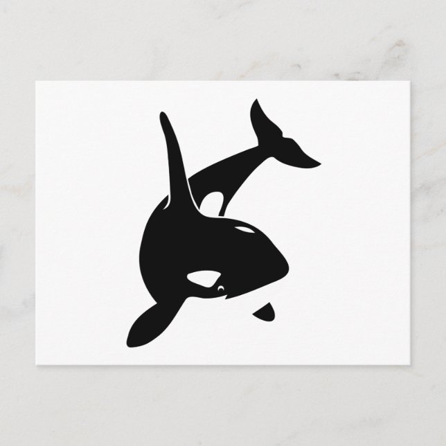 orca wal delphin delphin schwertwal vala vykort (Framsida)