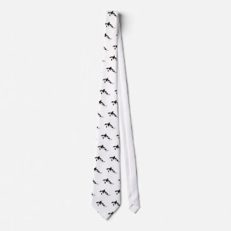 orca wal dolphin delphin schwertwal whale slips