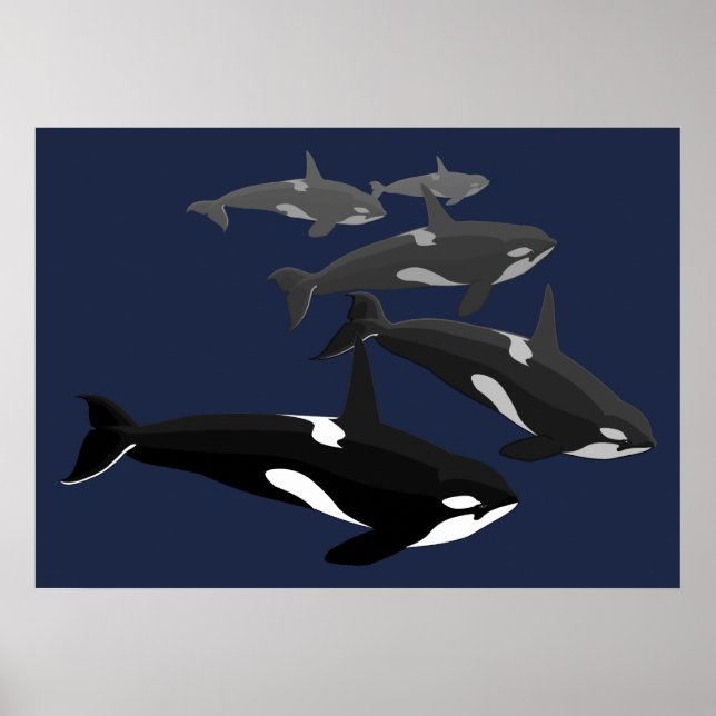 Orca Whale Art Poster Killer Whale Art Prints Gift (Framsidan)