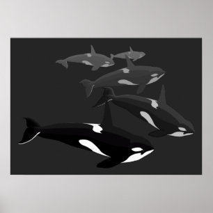 Orca Whale Art Poster Killer Whale Prated Canvas