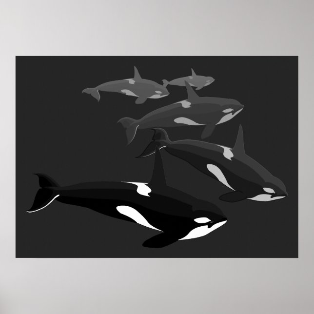 Orca Whale Art Poster Killer Whale Prated Canvas (Framsidan)