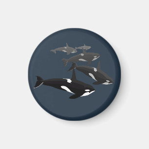 Orca Whale Fridge Magnet Killer Whale Art Magnet