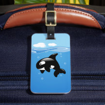 Orca Whale i Ocean