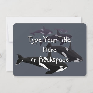 Orca Whale Investigation Personlig Whale OSA Inbjudningar