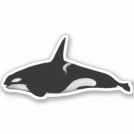 ORCA WHALE KLISTERMÄRKEN
