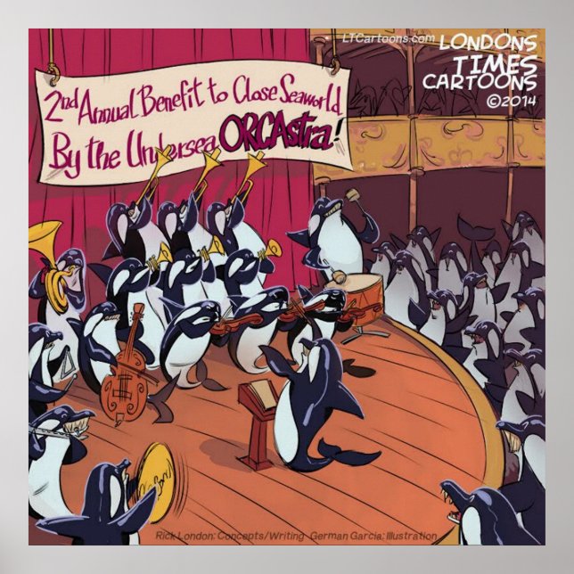 Orca Whale Orchestra Funny Poster (Framsidan)