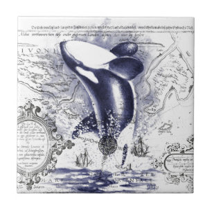 Orca Whale Vintage Karta Blue Kakelplatta
