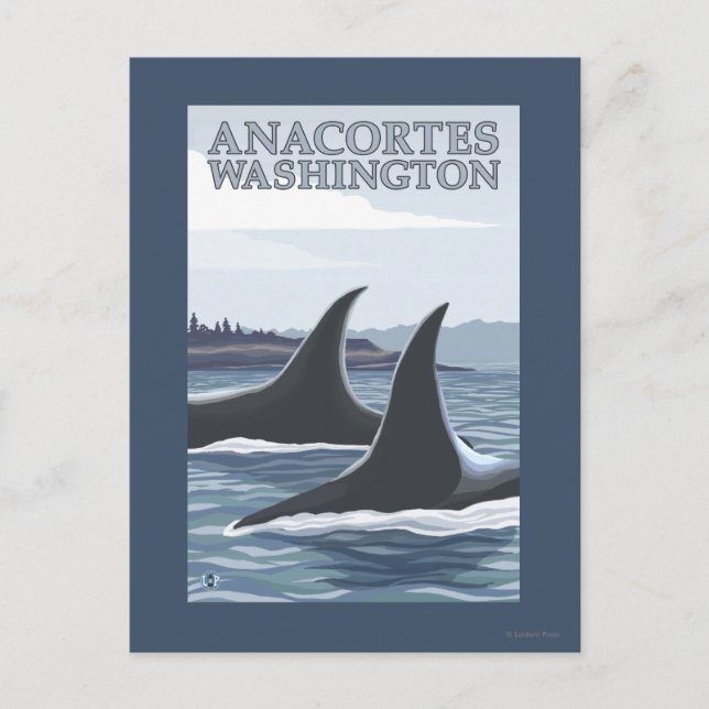 Orca Whales #1 - Anacortes, Washington Vykort (Framsida)