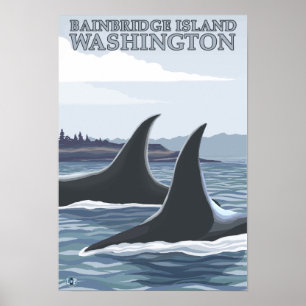 Orca Whales #1 - Bainbridge Island, Washington Poster