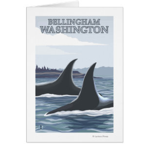 Orca Whales #1 - Bellingham, Washington Hälsningskort