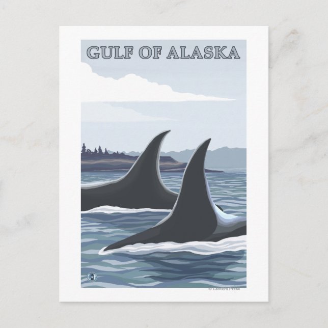 Orca Whales #1 - Bukt i Alaska Vykort (Framsida)