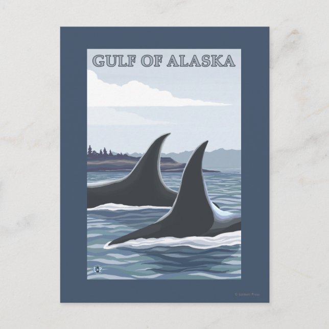 Orca Whales #1 - Bukt i Alaska Vykort (Framsida)