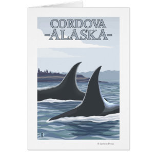 Orca Whales #1 - Cordova, Alaska Hälsningskort