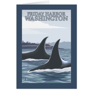 Orca Whales #1 - Fredag Harbour, Washington Hälsningskort
