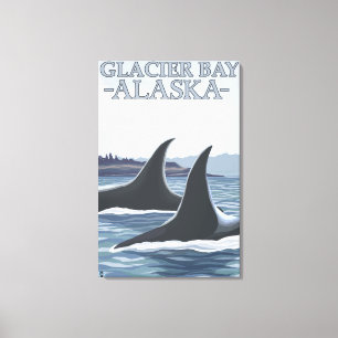 Orca Whales #1 - Glacier Bay, Alaska Canvastryck