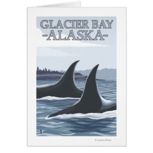 Orca Whales #1 - Glacier Bay, Alaska Hälsningskort