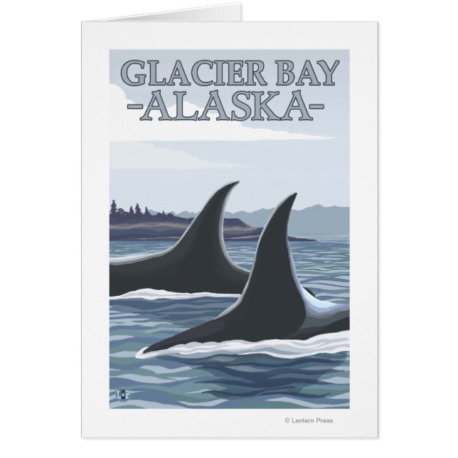 Orca Whales #1 - Glacier Bay, Alaska Hälsningskort (Framsidan)
