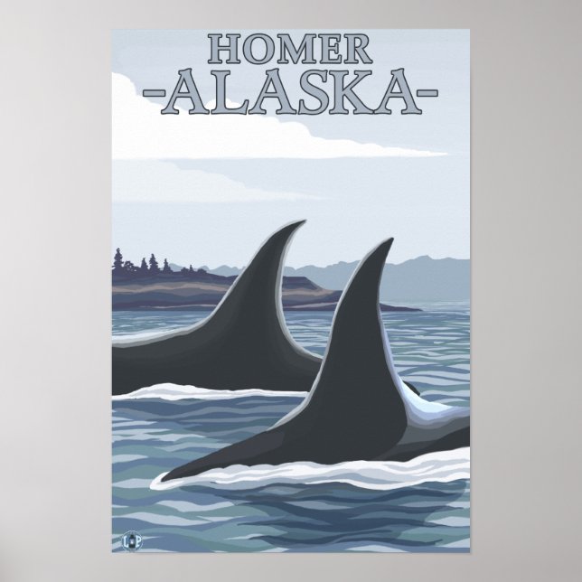 Orca Whales #1 - Homer, Alaska Poster (Framsidan)
