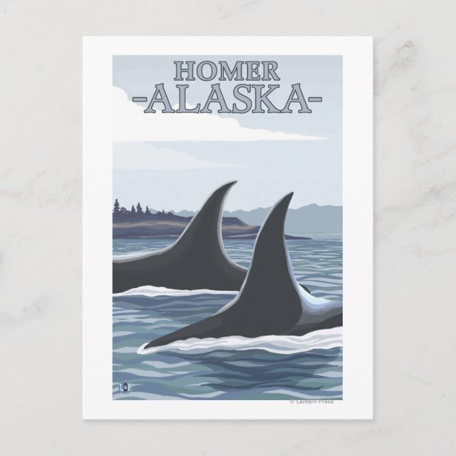 Orca Whales #1 - Homer, Alaska Vykort (Framsida)