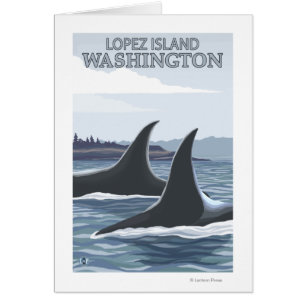 Orca Whales #1 - Lopez, Washington Hälsningskort