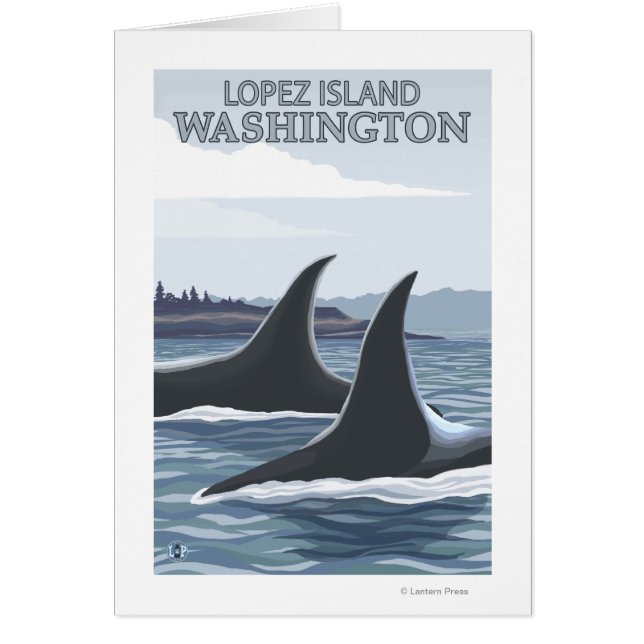 Orca Whales #1 - Lopez, Washington Hälsningskort (Framsidan)