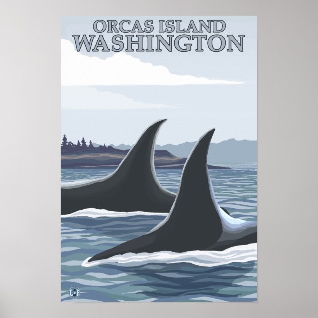Orca Whales #1 - Orcas Island, Washington Poster (Framsidan)