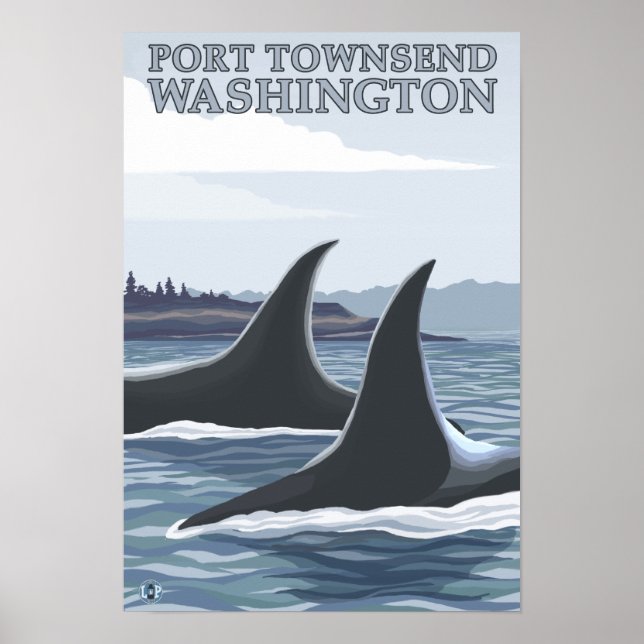 Orca Whales #1 - Port Townsend, Washington Poster (Framsidan)