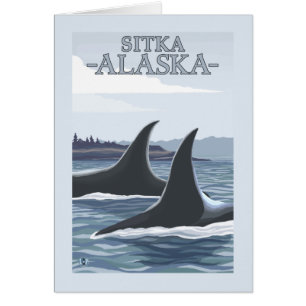Orca Whales #1 - Sitka, Alaska Hälsningskort