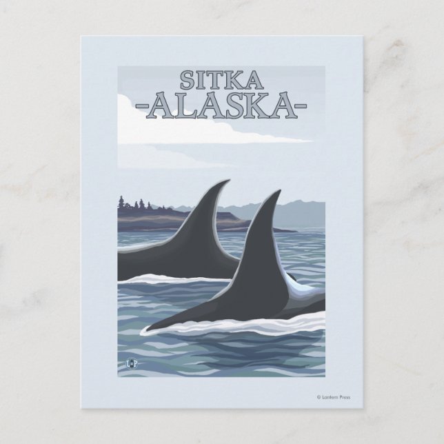 Orca Whales #1 - Sitka, Alaska Vykort (Framsida)