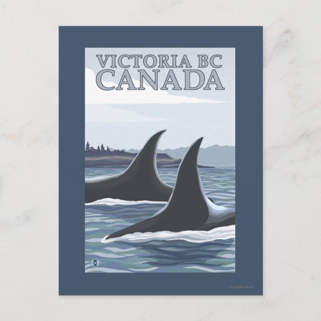 Orca Whales #1 - Victoria, BC Kanada Vykort (Framsida)